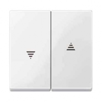 SCH  Merten  Полярно-бел.  Клавиша 2-ая для жалюзи и кноп. MTN432419