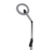 Торшер Lumion Ledio 8332/15FL