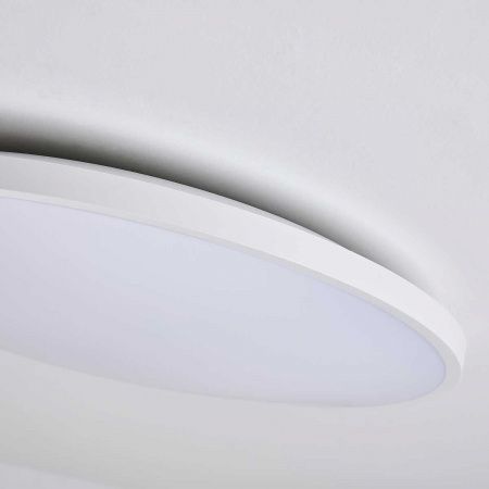 Светильник светодиодный настенно-потолочный Arco Eco Lightstar 225750