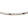 Лента светодиодная Lightstar 400904