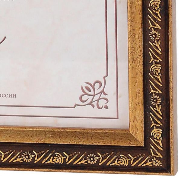 Фоторамка FA пластик Нива старое золото 21х30 (15/420) Б0039928